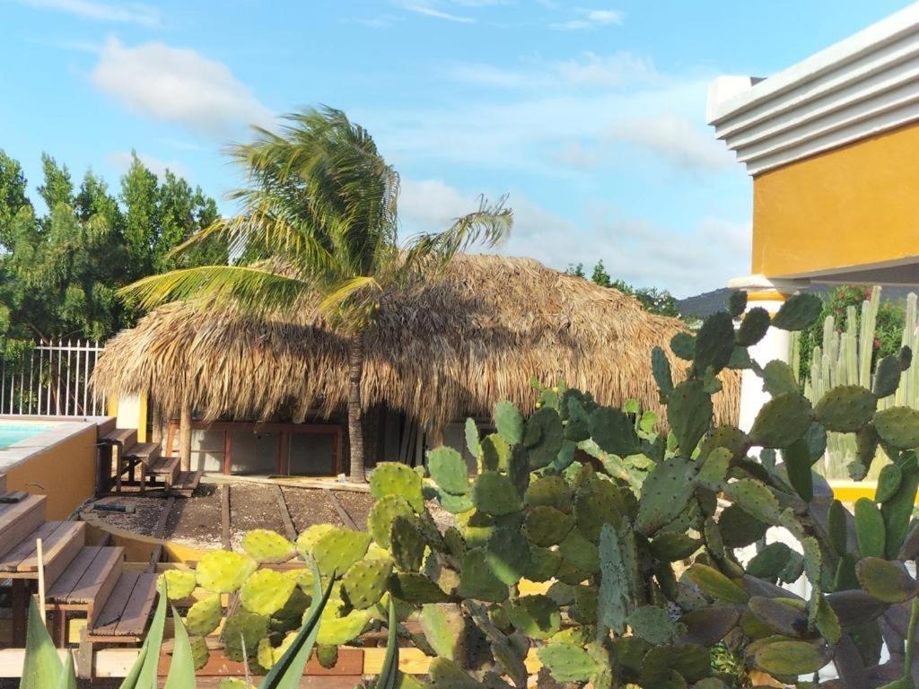 Landhuis Belnem Bonaire Kralendijk  Exterior photo